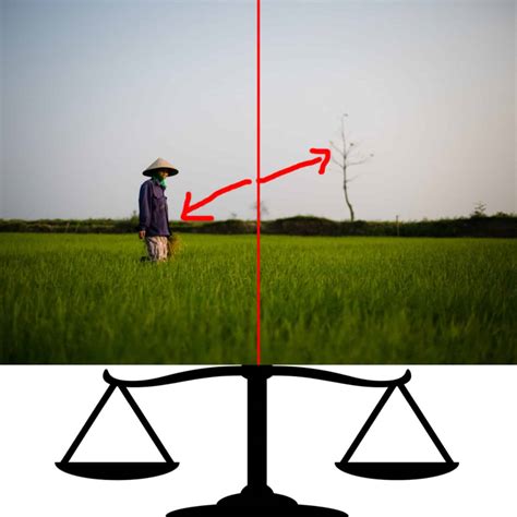 types of balance in photography|Understanding Balance in Photography .